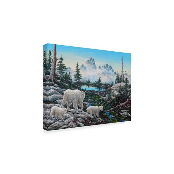 Jeff Tift 'Alpine Country' Canvas Art,18x24